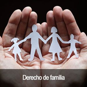 Vela y Montoya Abogados derecho de familia