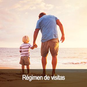 Vela y Montoya Abogados régimen de visitas